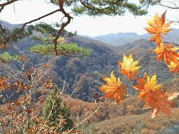 突破減肥平臺期后運(yùn)動,突破減肥平臺期后運(yùn)動會怎么樣